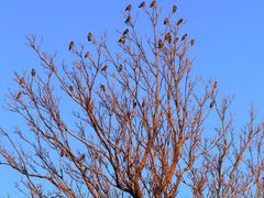 -济南国际园博园