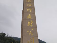 -铁山坪森林公园
