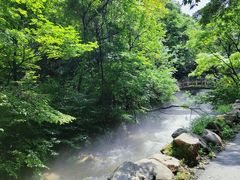 -本溪汤沟绿石谷森林公园