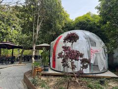-张鸟园农家乐(张鸟园店)