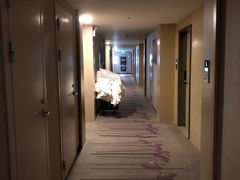 -麗枫酒店(西安大明宫龙首原地铁站店)