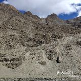 我在日喀则挺好的，无非也就是头晕头痛失眠耳鸣四肢无力。。。