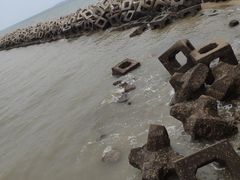 -东疆建设开发纪念公园