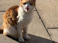 -青岛市江苏路基督教堂