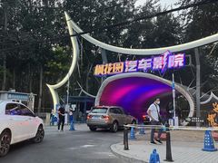 -枫花园汽车电影院(朝阳公园店)