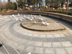 -南宫五洲植物乐园