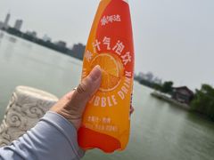 -天津水上公园
