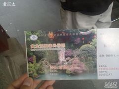 -杭州黄龙洞