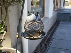-Laures·月桂西班牙碳烤餐厅(十尚坊店)
