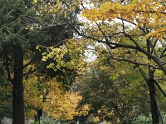 -香山公园
