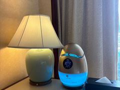 -深圳富临大酒店