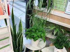 -爱妮康宠物医院·干细胞免疫细胞·肿瘤·心脏(张江店)