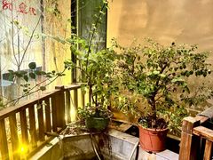 -王捌小院(红花坡店)