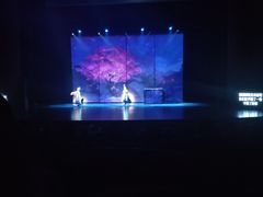 -合肥大剧院