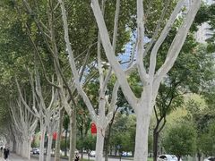 -后襄河公园