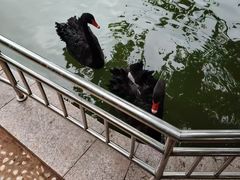 -华夏良子·足道SPA艾灸(山东大厦店)