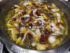 -杨记大丰收鱼庄(国贸店)