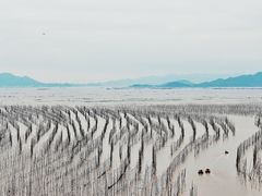 -北岐滩涂