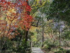 -岳麓山风景名胜区