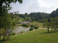 -铁山坪森林公园