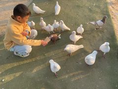 -南通洲际绿博园