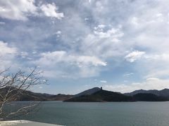 -望湖烤鱼