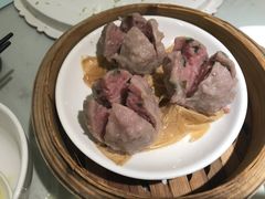 -南枝记