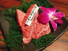 -松阪牛焼肉M(法善寺横丁店)