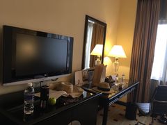 -新加坡乌节希尔顿酒店 (SG Clean)