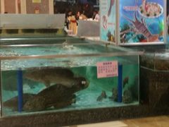 -渔民新村(番禺总店)