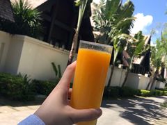 -三亚亚龙湾雅高铂尔曼别墅度假酒店