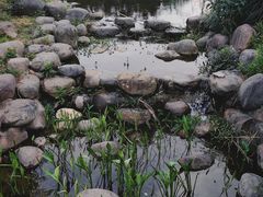 -柳鹭田园区