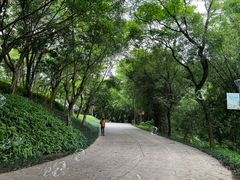 -狮山公园