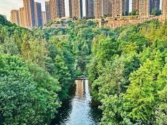-重庆彩云湖湿地公园