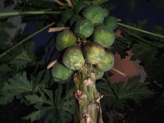 -老友王·南宁特色菜(金汇如意坊店)