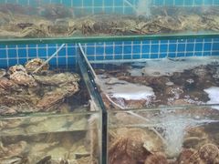 -同道蒸汽海鲜烧烤自助(刘庄夜市店)