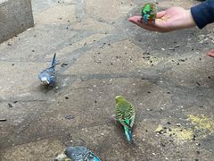 -南宫五洲植物乐园