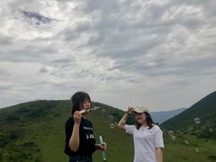 -大姆山草场