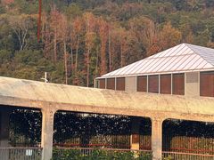 -东钱湖旅游度假区