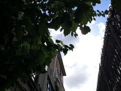 -张乐平故居