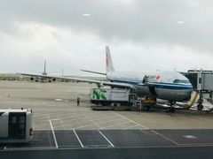 -上海浦东国际机场-T2航站楼