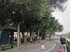 -宝安西湾红树林湿地公园