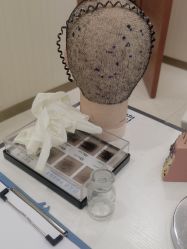 -碧莲盛·不剃发植发
