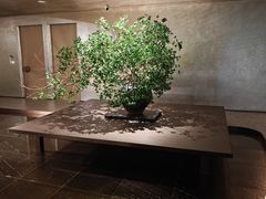 -隐溪茶馆(静安寺店)