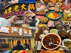 -成都大熊猫繁育研究基地