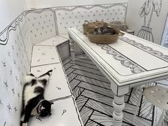 -白夜2D咖啡馆