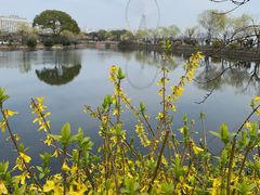 -无锡蠡湖国家湿地公园-蠡园