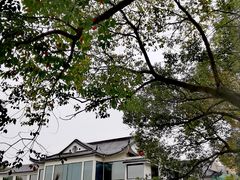 -东湖景区