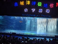 -泉城欧乐堡海洋极地世界