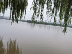 -济南国际园博园